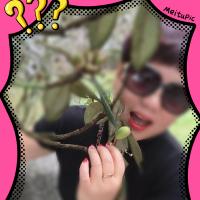 /photo/778167/My wife1/image_1_2_small.jpg